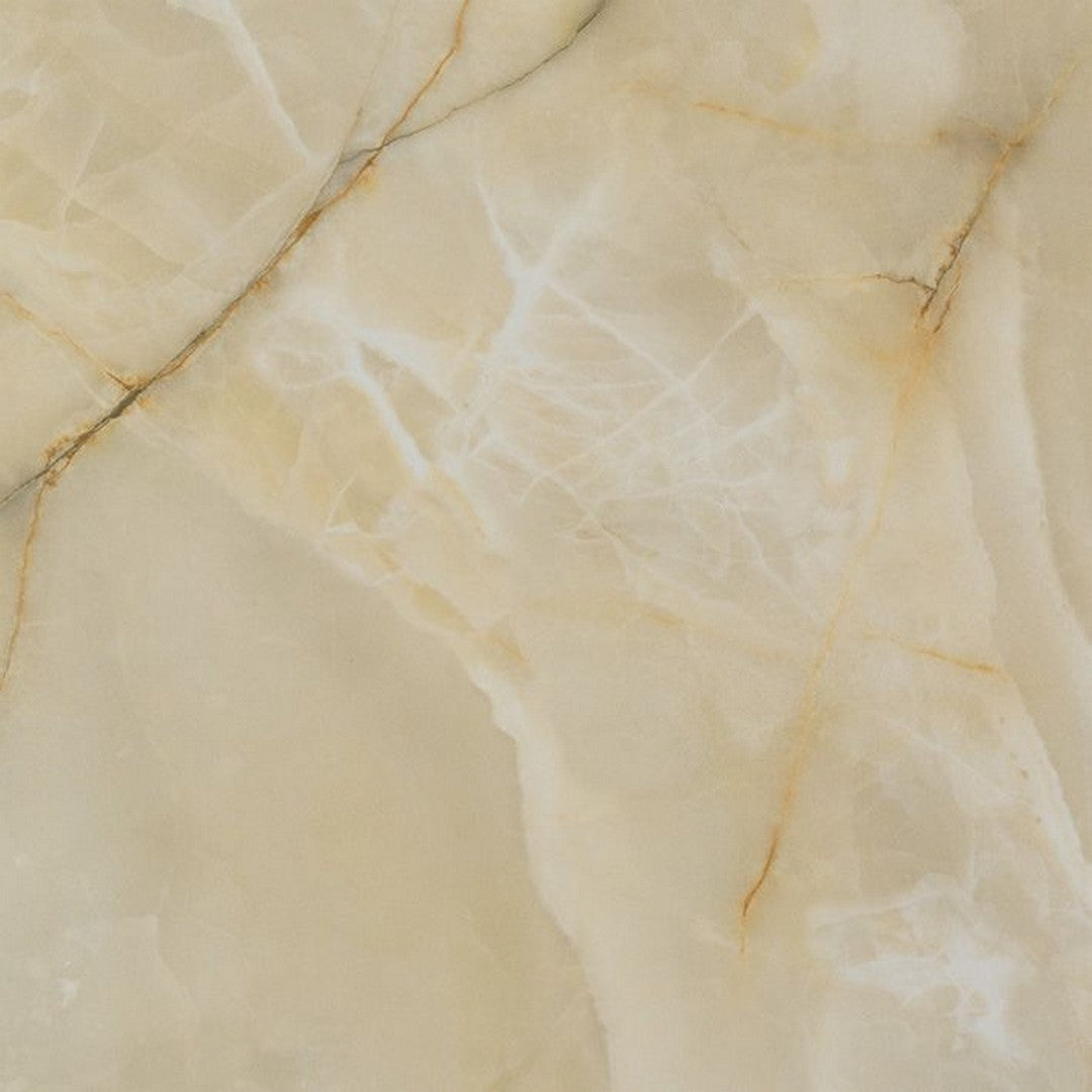 Florida Tile Alustra 24" x 24" Rectified Polished Porcelain Tile