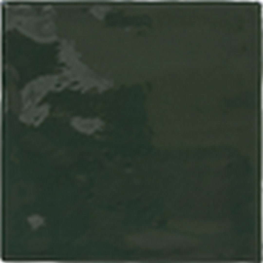 Florida Tile Songbird 5" x 5" Glossy Ceramic Wall Tile