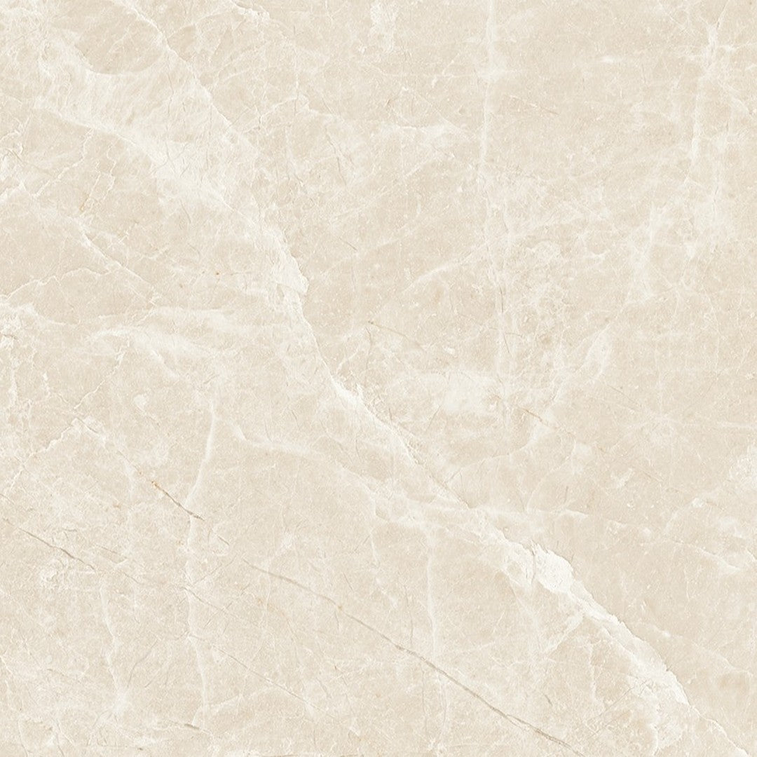 Tesoro Lucca 24" x 24" Rectified Matte Porcelain Tile