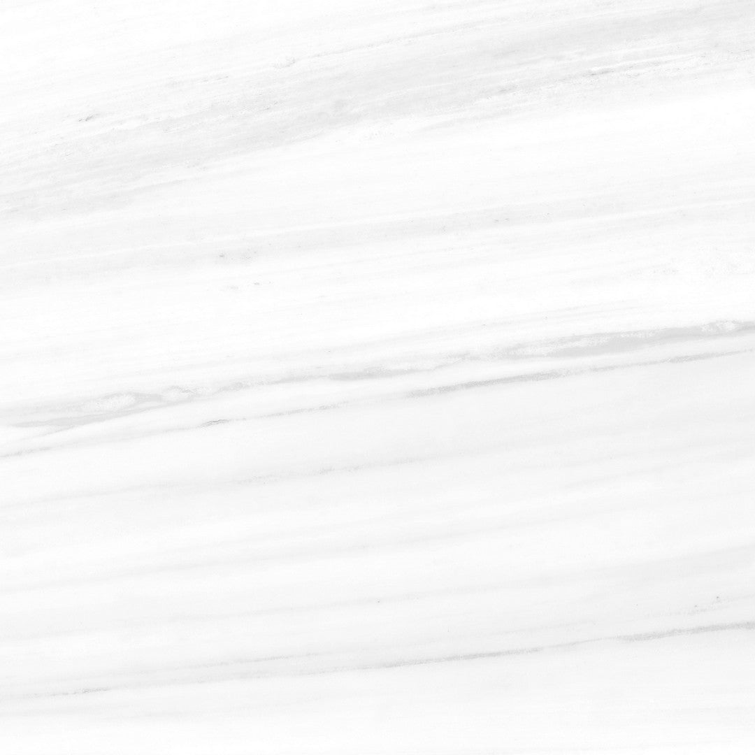 Tesoro Lucca 24" x 24" Rectified Matte Porcelain Tile