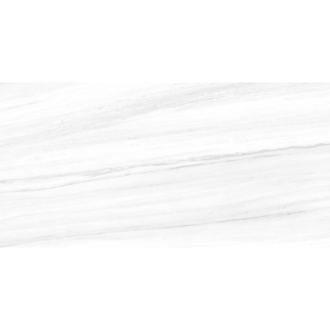 Tesoro Lucca 24" x 48" Rectified Matte Porcelain Tile