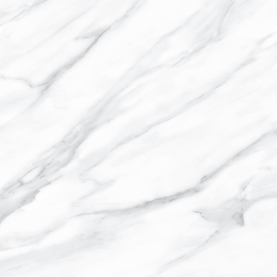 Tesoro Lucca 24" x 24" Rectified Polished Porcelain Tile