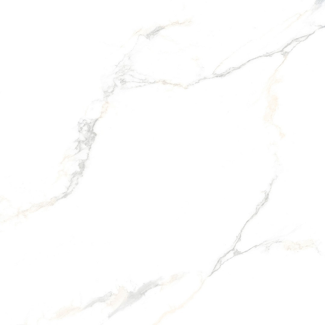 Tesoro Cora 24" x 24" Pressed Matte Porcelain Tile