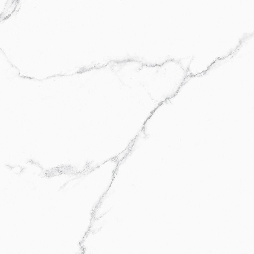 Tesoro Cora 24" x 24" Pressed Matte Porcelain Tile