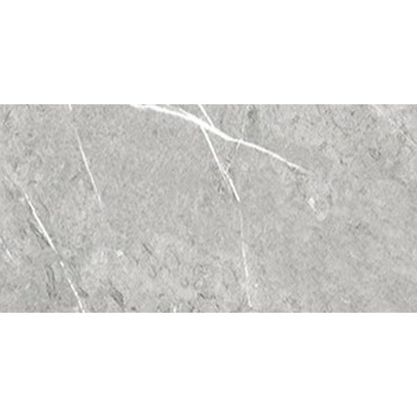 Tesoro Pedra 24" x 48" Rectified Polished Porcelain Tile