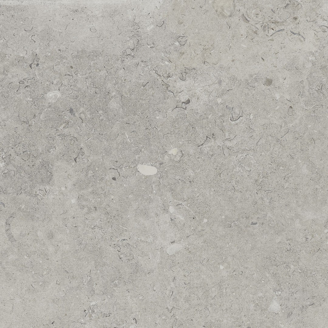Happy Floors Coralina 24" x 24" Rectified Natural Porcelain Tile