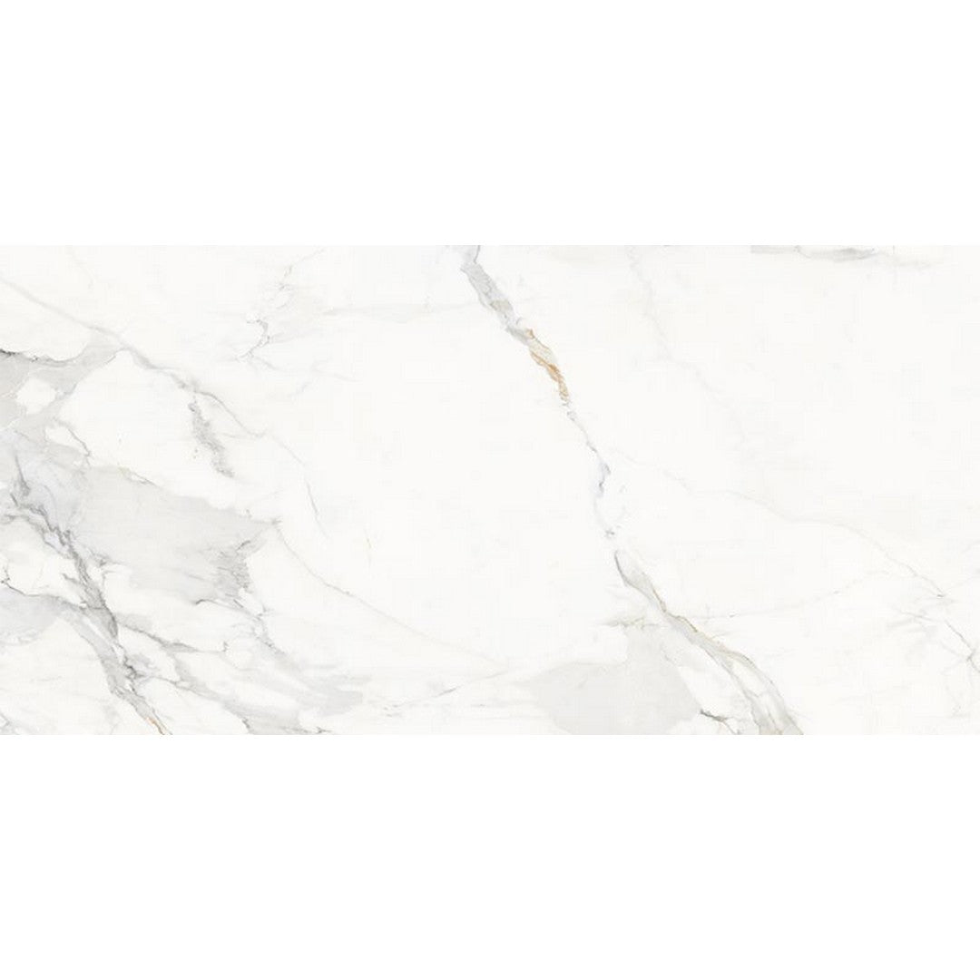 Happy Floors Marbella 24" x 48" Rectified Polished Porcelain Tile