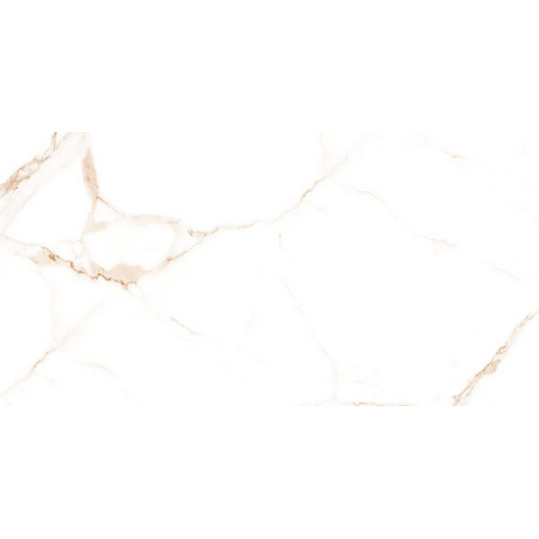 Happy Floors Alsacia 2.0 - 24" x 48" Rectified Matte Porcelain Tile