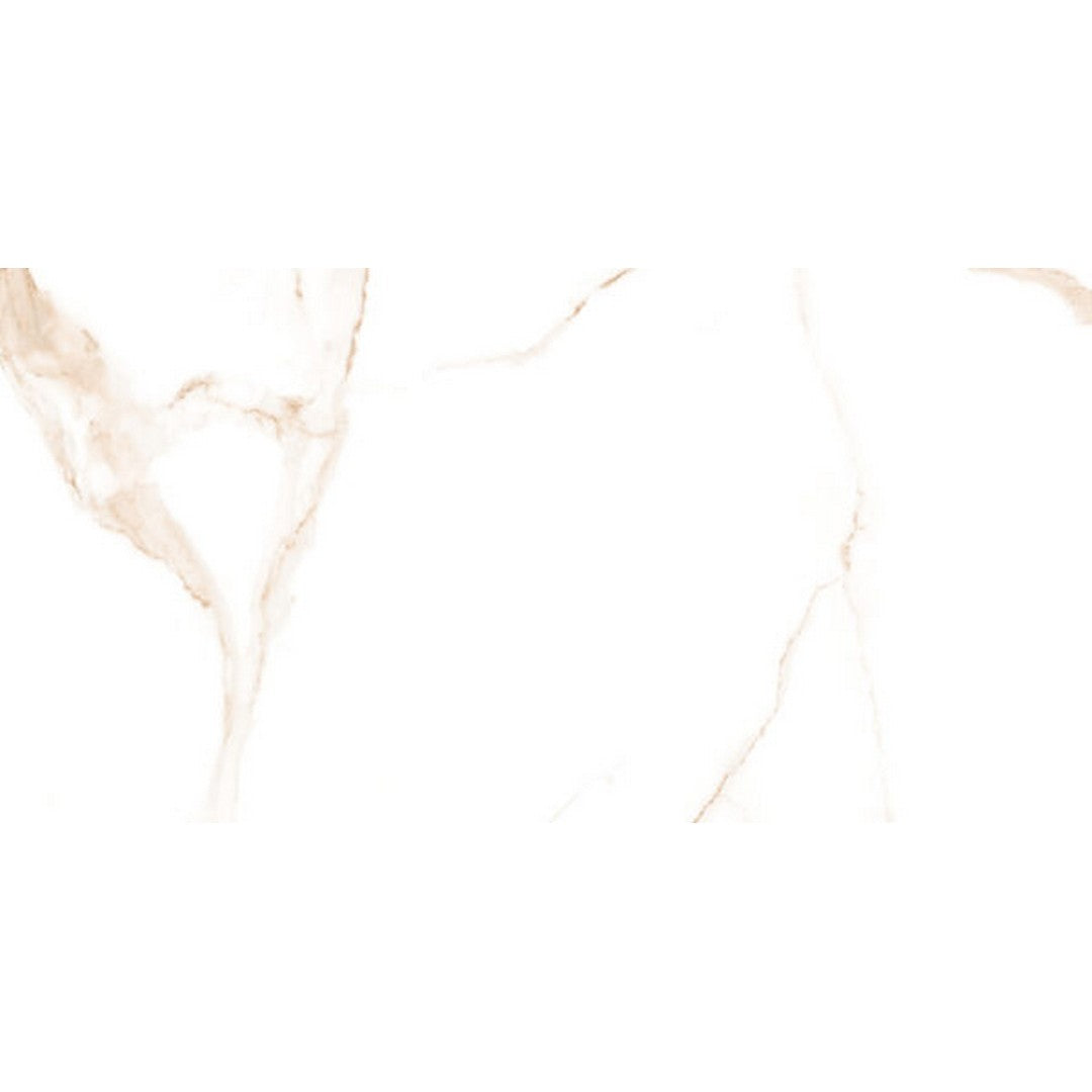 Happy Floors Alsacia 2.0 - 24" x 48" Rectified Polished Porcelain Tile