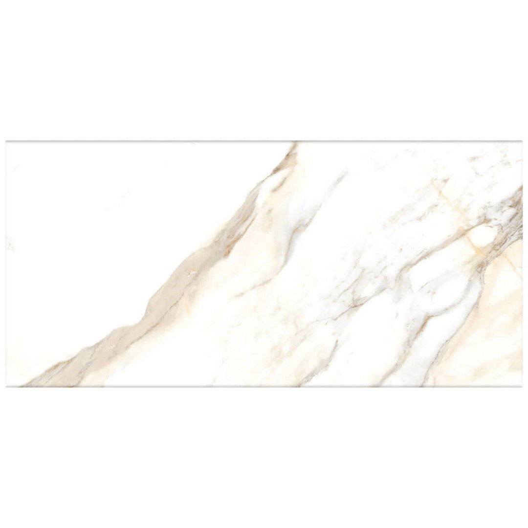 Happy Floors Dorian 12" x 24" Rectified Honed Porcelain Tile