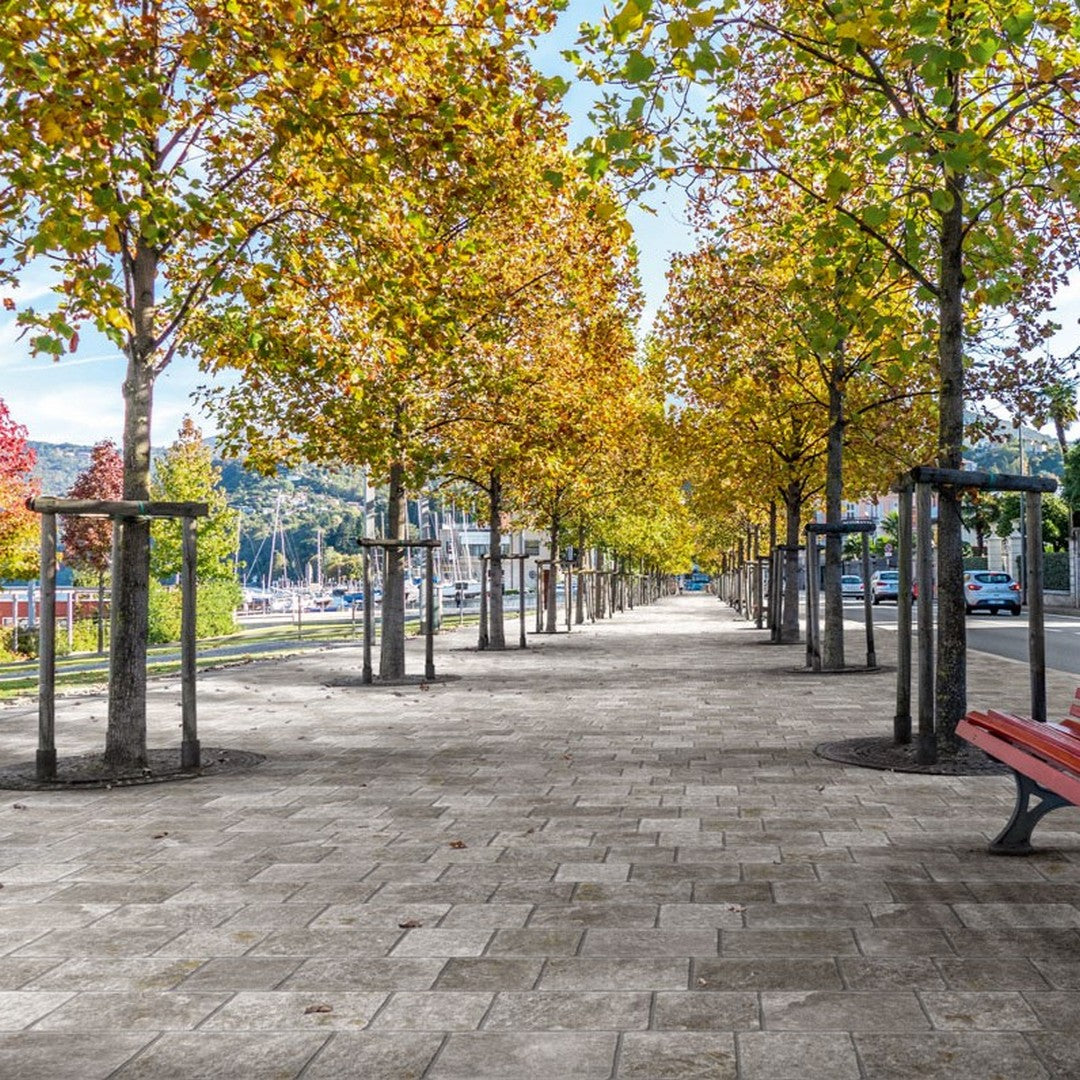 Imola-Trail-8-x-12-Natural-Porcelain-Paver-1.8cm-Quartzite-Grigia