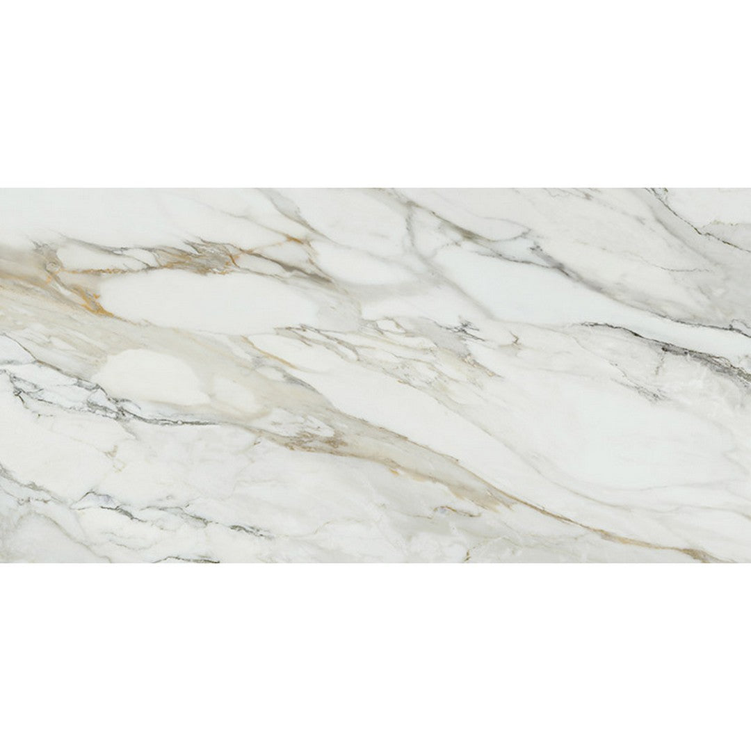 MiR Imperial 24" x 48" Polished Rectified Porcelain Tile