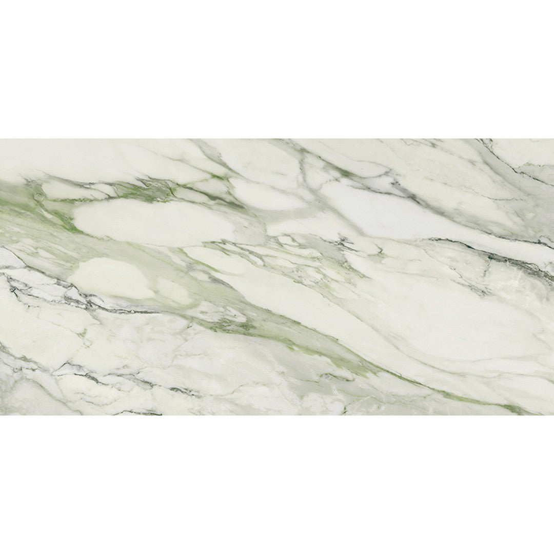 MiR Imperial 24" x 48" Polished Rectified Porcelain Tile