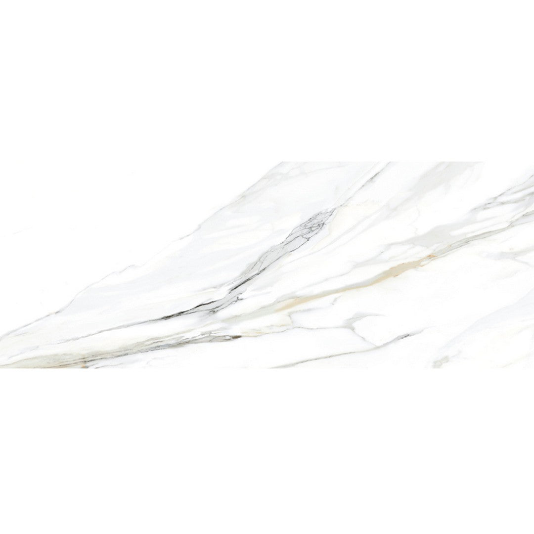 MiR Imperial 24" x 48" Rectified Matte Porcelain Tile