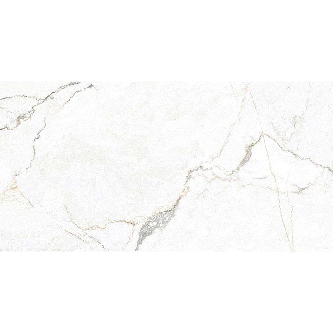 MiR Imperial 23.5" x 47.2" Matte Rectified Porcelain Tile