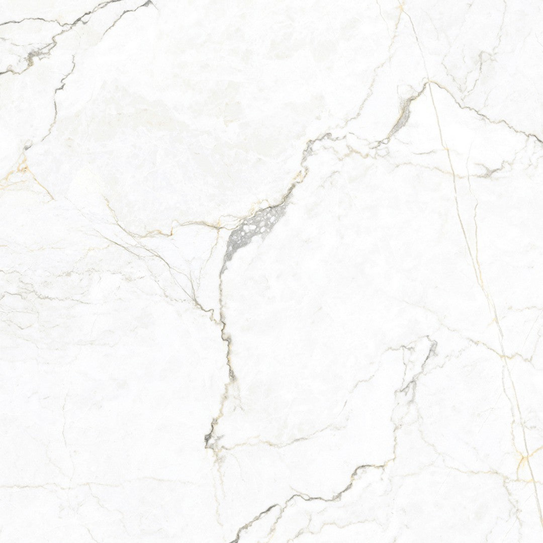 MiR Imperial 47.2" x 47.2" Rectified Matte Porcelain Tile