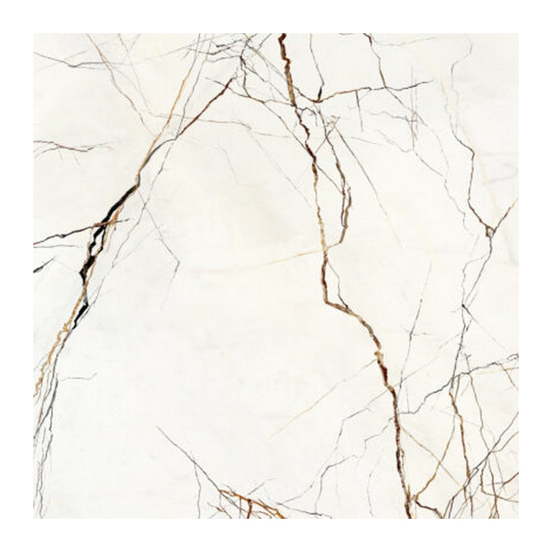 Keystone Lichen Series 24" x 24" Polished Porcelain Floor Tile