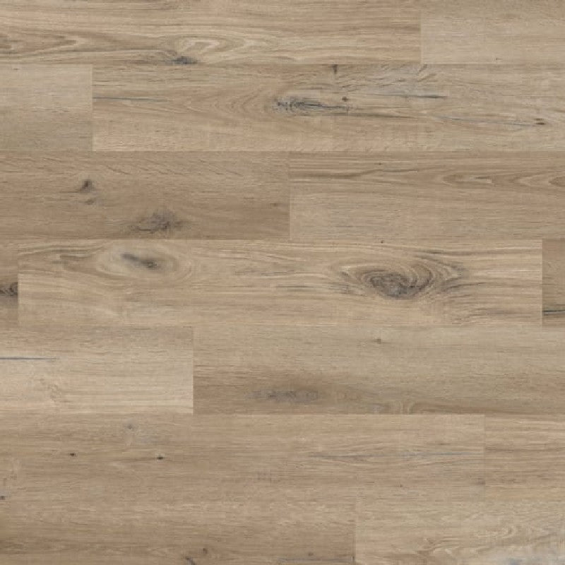 Karndean Knight Gluedown 6" x 36" Luxury Vinyl Plank 12mil