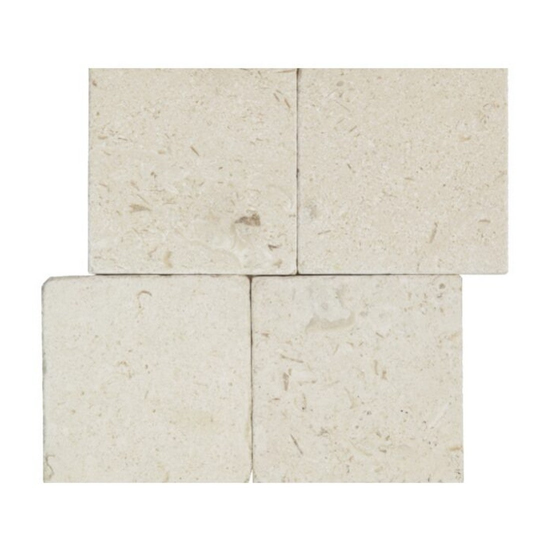 Keystone-Shell-Beach-6"-x-6"-Tumbled-Limestone-Tile-Shell-Beach