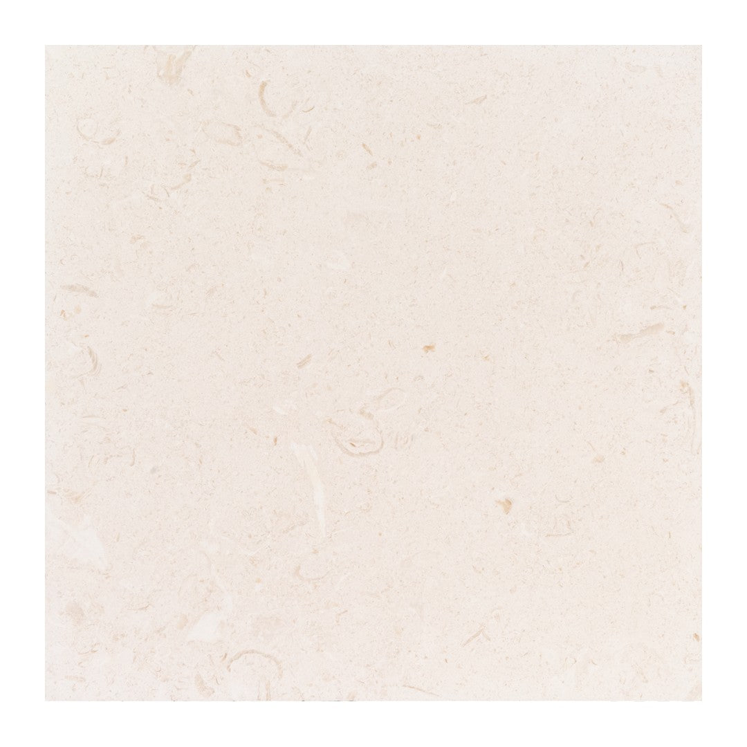 Keystone Shell Beach 24" x 24" Honed Limestone Tile