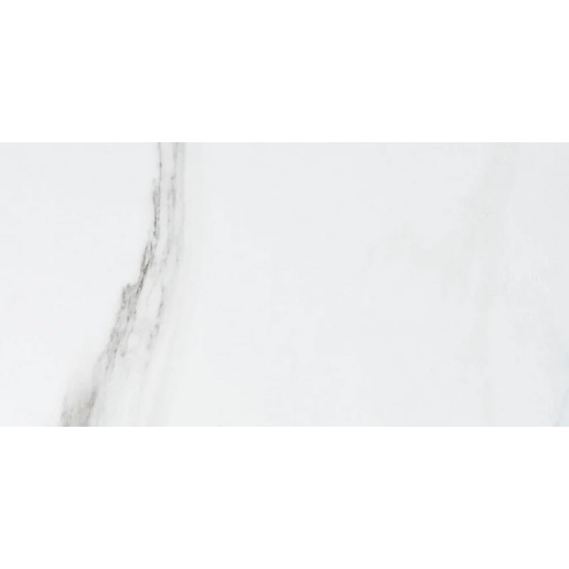 Floors 2000 Kolomb 12" x 24" Pressed Matte Porcelain Tile