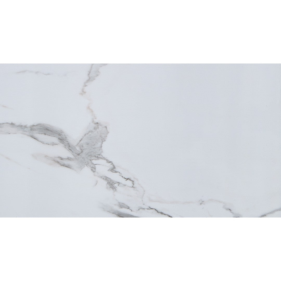 Lico US 24" x 48" Matte SPC Vinyl Wall Panel