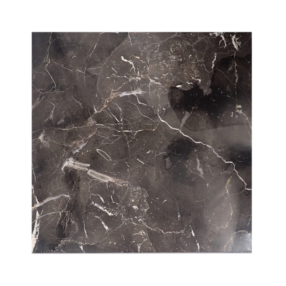 Emser-St.-Croix-18-x-18-Polished-Marble-Tile-Brown