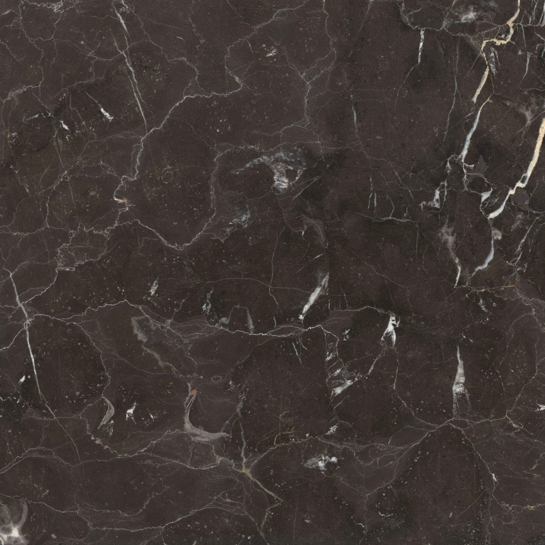 Emser St. Croix 18" x 18" Polished Marble Tile
