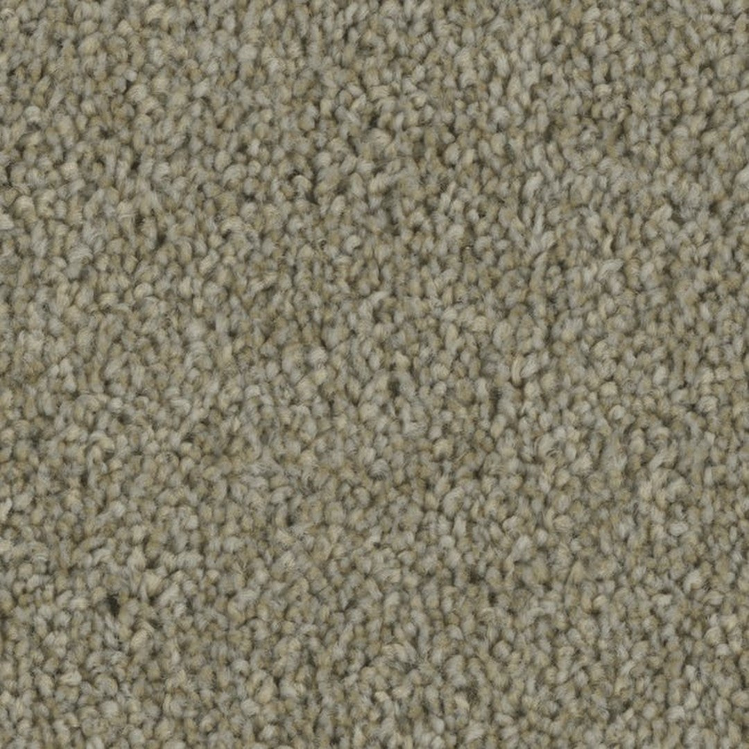Phenix Microban Tempt 12' Polyester Carpet Tile