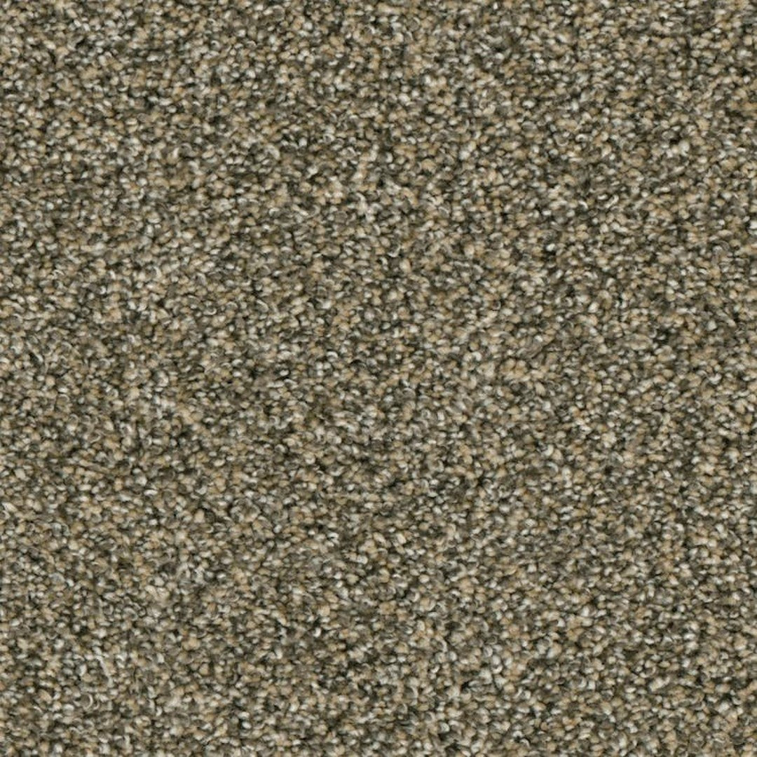 Phenix Microban Lincoln Hall 12' Polyester Carpet Tile