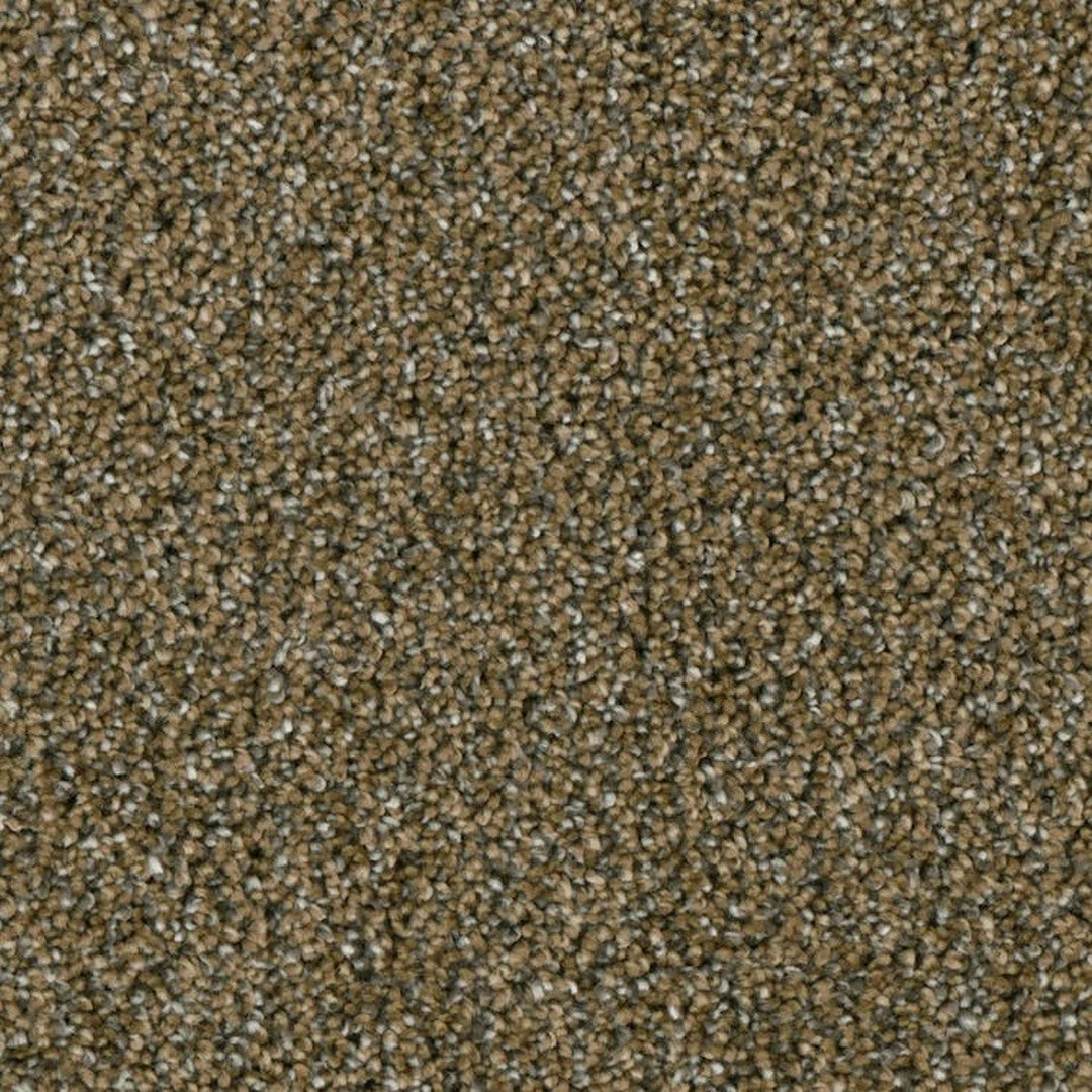 Phenix Microban Lincoln Hall 12' Polyester Carpet Tile