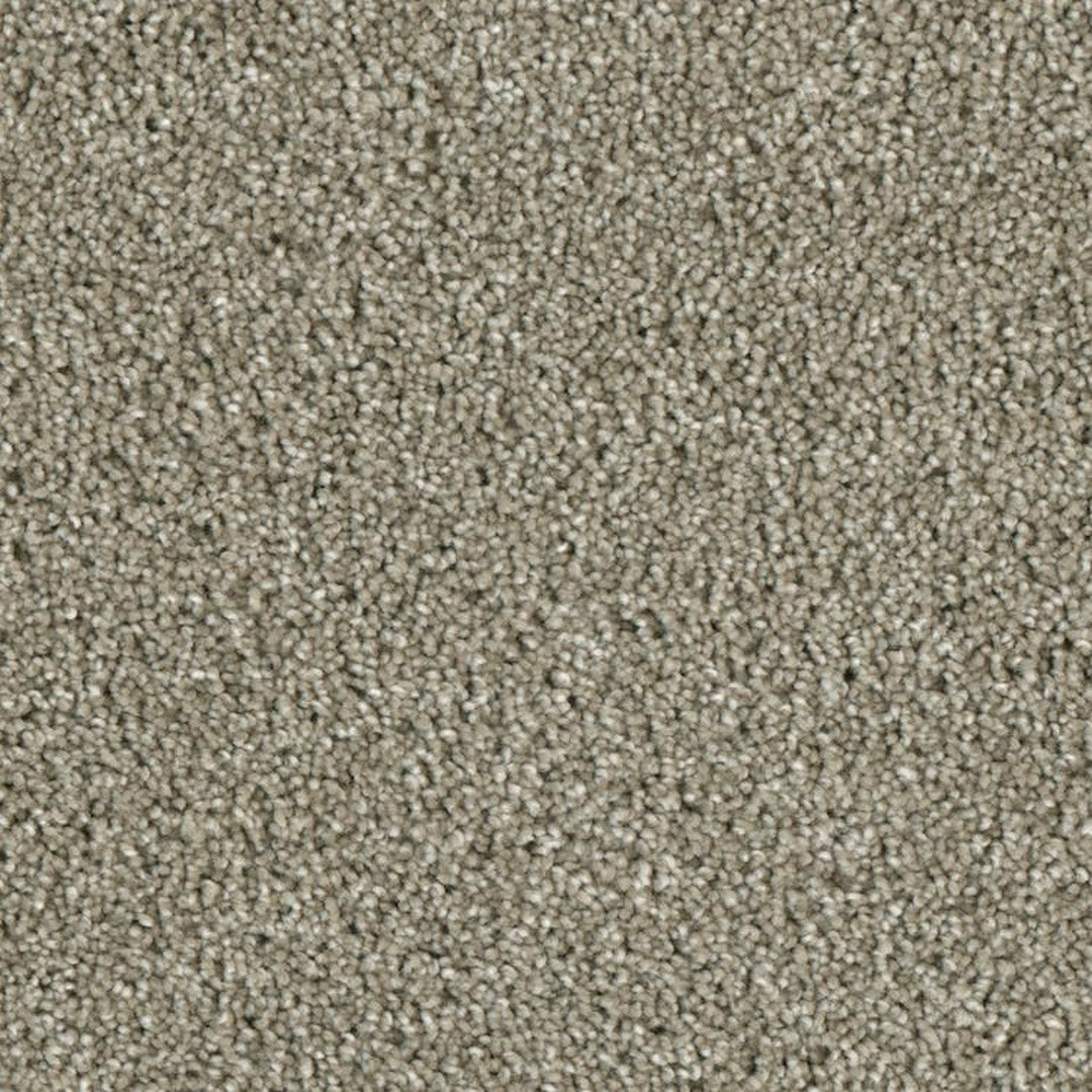 Phenix Microban Lincoln Hall 12' Polyester Carpet Tile