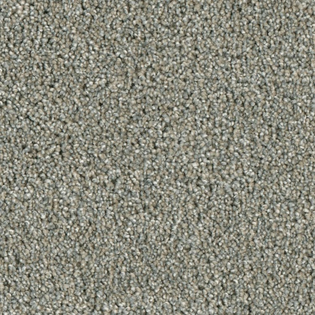 Phenix Microban Lincoln Hall 12' Polyester Carpet Tile