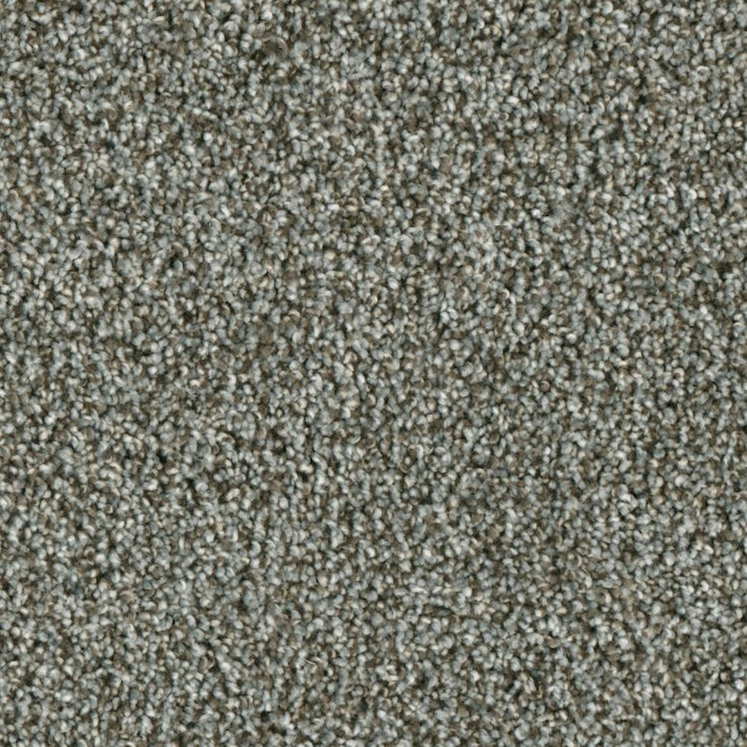 Phenix Microban Lincoln Hall 12' Polyester Carpet Tile