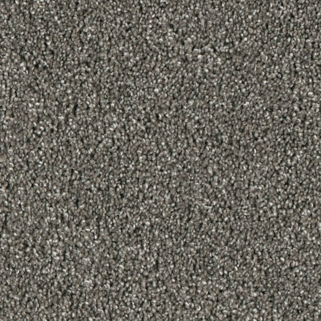Phenix Microban Lincoln Hall 12' Polyester Carpet Tile