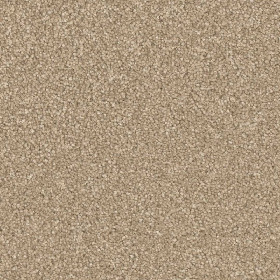Phenix Microban Five Star 12' Polyester Carpet Tile