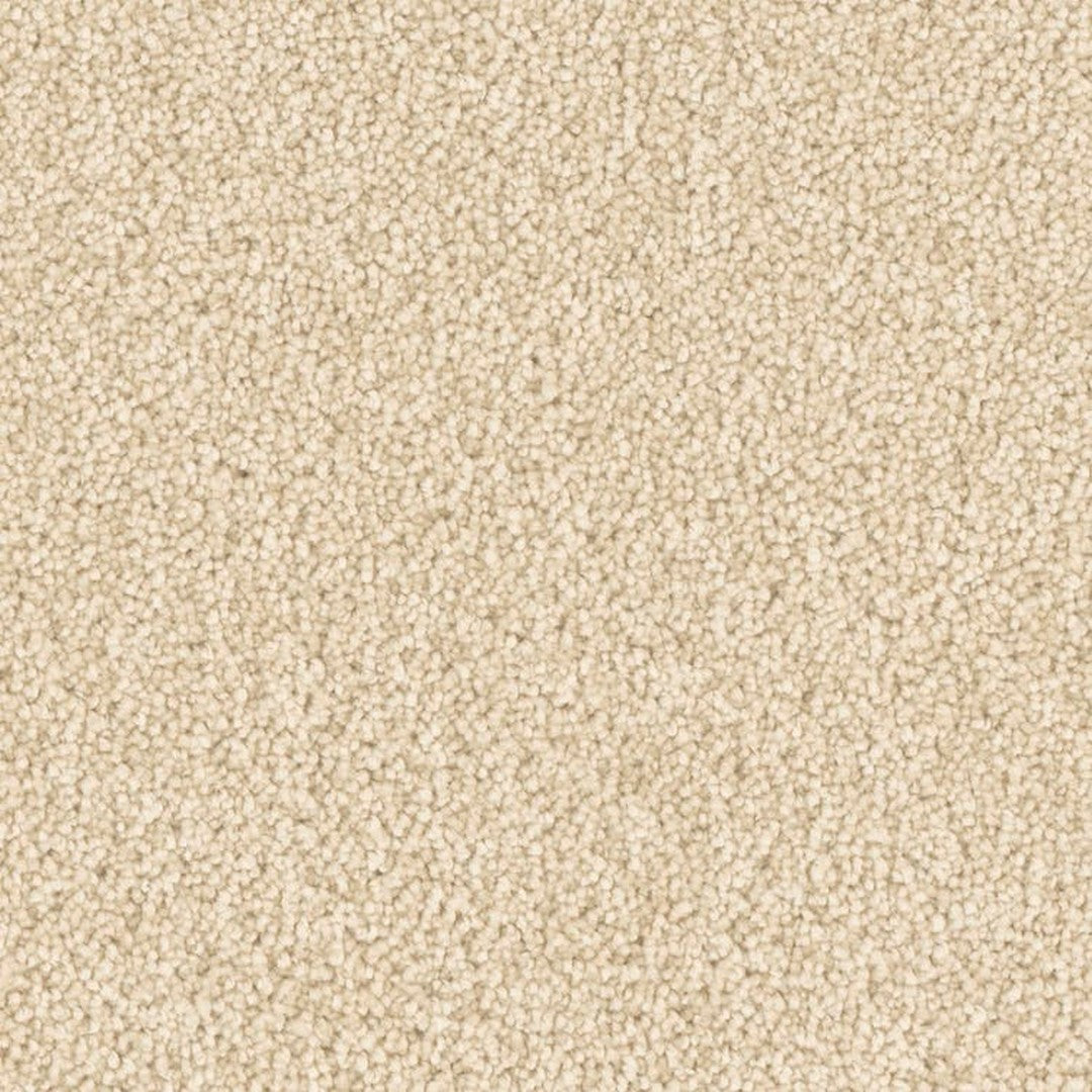 Phenix Microban Top Notch 12' Polyester Carpet Tile