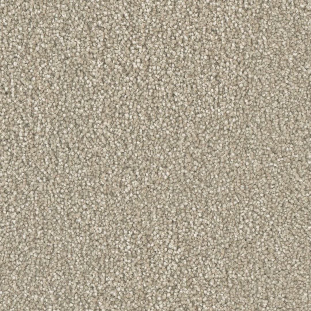 Phenix Microban Top Notch 12' Polyester Carpet Tile