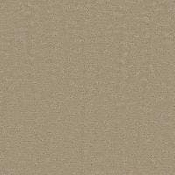 Phenix Microban Glam 12' Polyester Carpet Tile