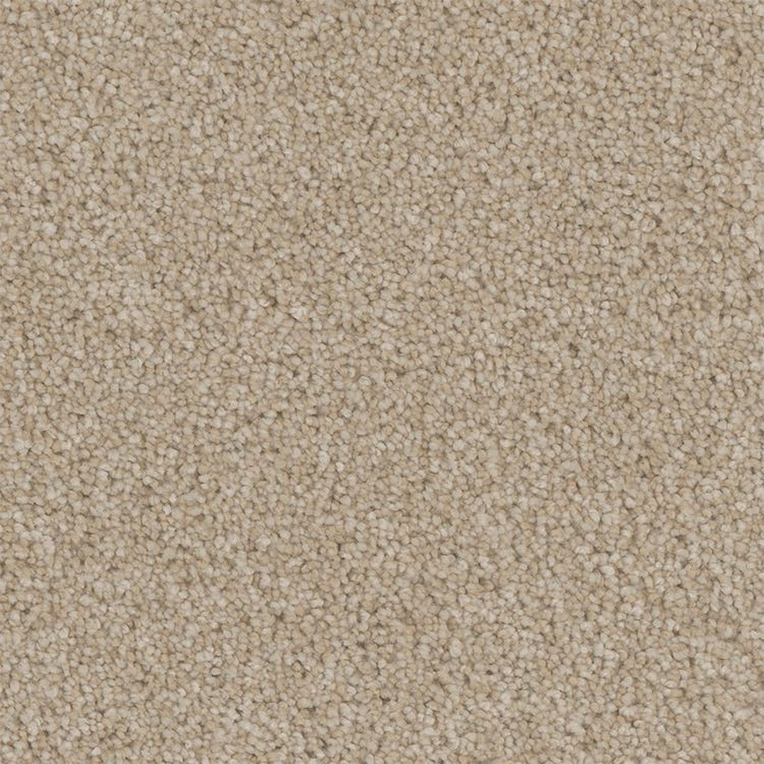 Phenix Microban Tonal Serenity 12' Polyester Carpet Tile
