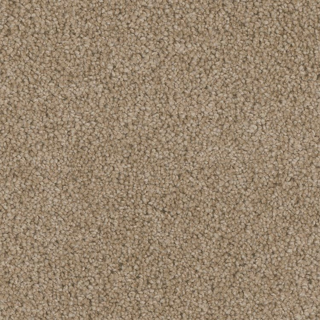 Phenix Microban Tonal Serenity 12' Polyester Carpet Tile