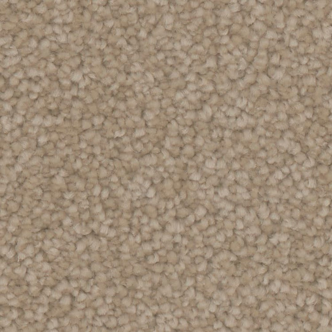 Phenix Microban Canvas I 12' Polyester Carpet Tile