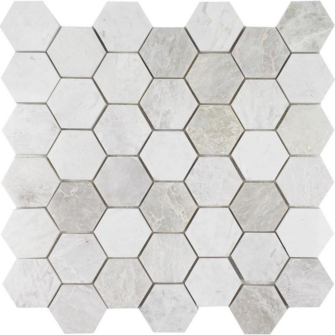Tesoro Iceberg 12" x 11.5" Polished 2" Hexagon Natural Stone Mosaic