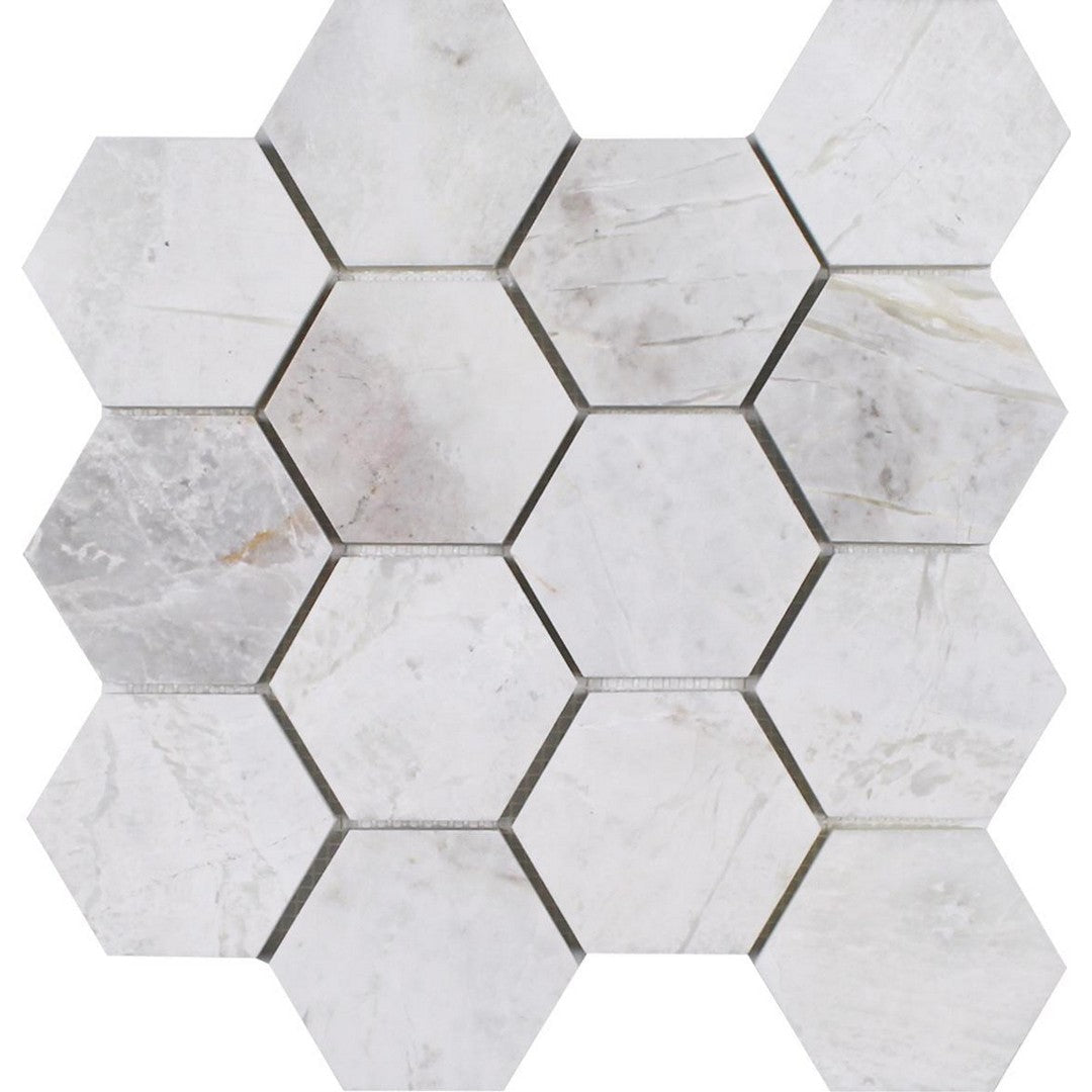 Tesoro Iceberg 12" x 11.25" Polished 3" Hexagon Natural Stone Mosaic
