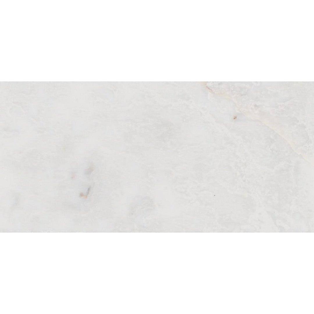 Tesoro Iceberg 4" x 8" Polished Natural Stone Tile