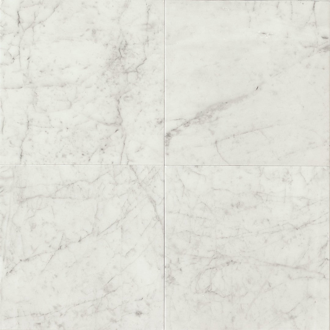 Bedrosians Marble White Carrara 24" x 24" Honed Tile