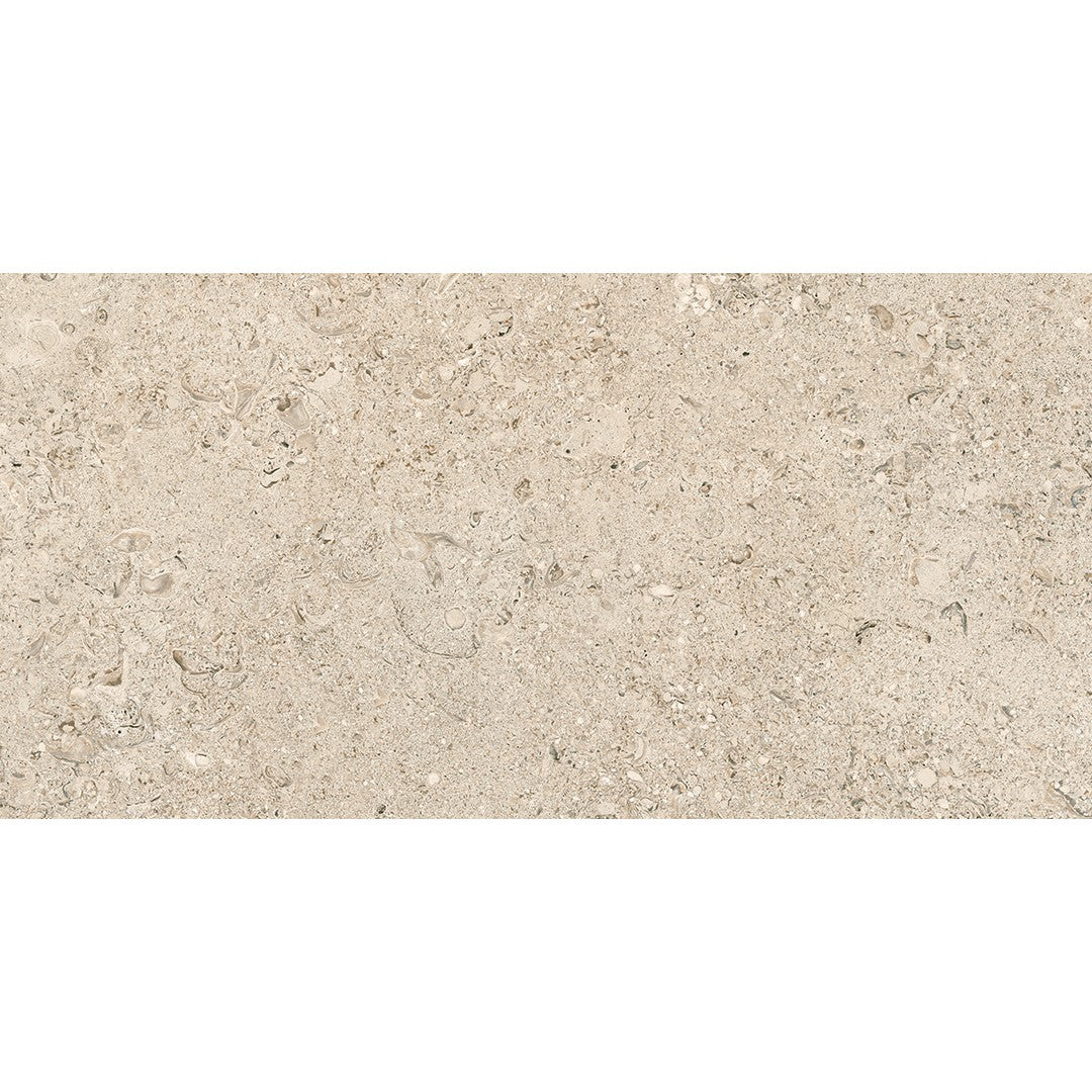 Tesoro Shellstone 12" x 24" Rectified Matte Outdoor Porcelain Tile