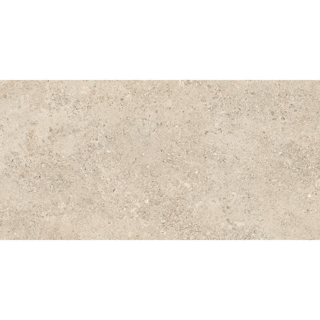 Tesoro Shellstone 24" x 48" Rectified Matte Porcelain Tile