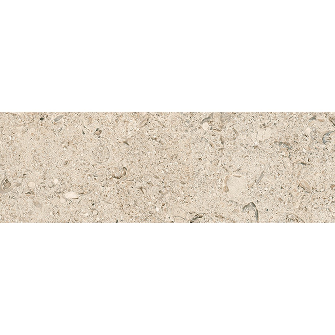 Tesoro Shellstone 4" x 12" Rectified Matte Porcelain Tile