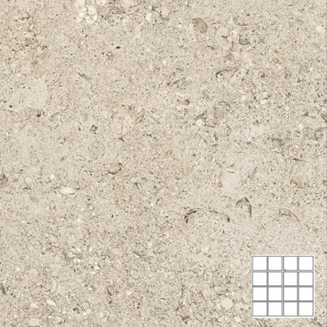 Tesoro Shellstone 12" x 12" Rectified Matte Porcelain 3" Mosaic